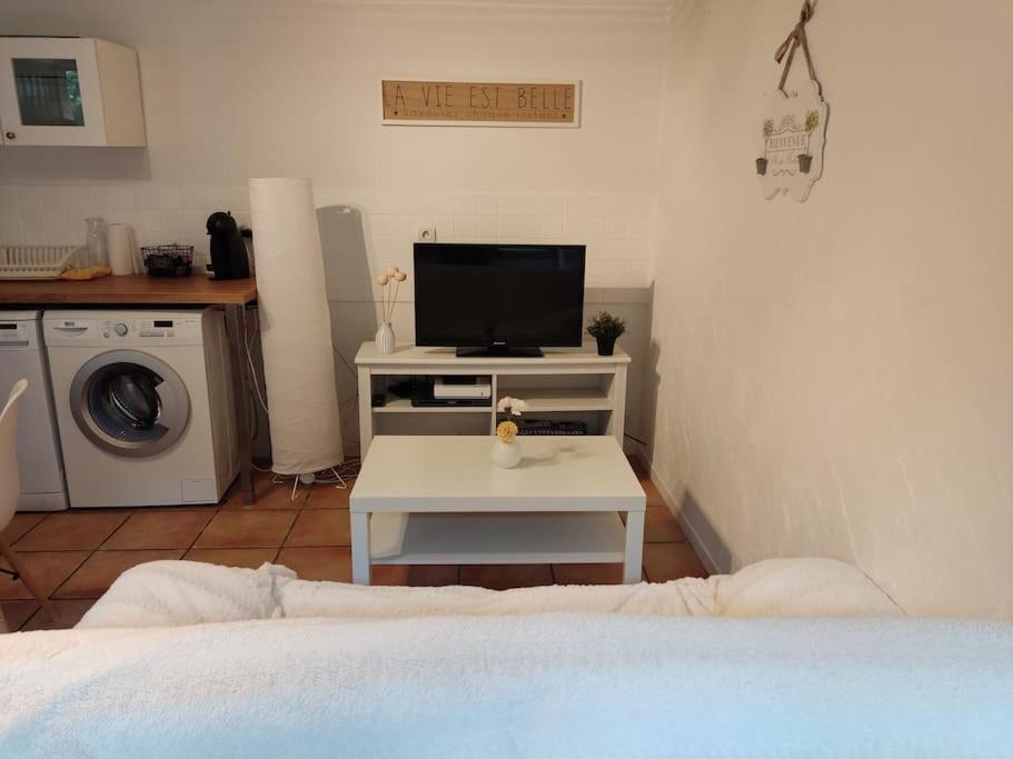 Appartement En Rez De Jardin Et Terrasse Ds Villa Hyères Exterior foto